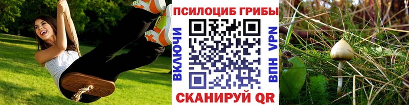 Галлюциногенные грибы мицелий  Туймазы 