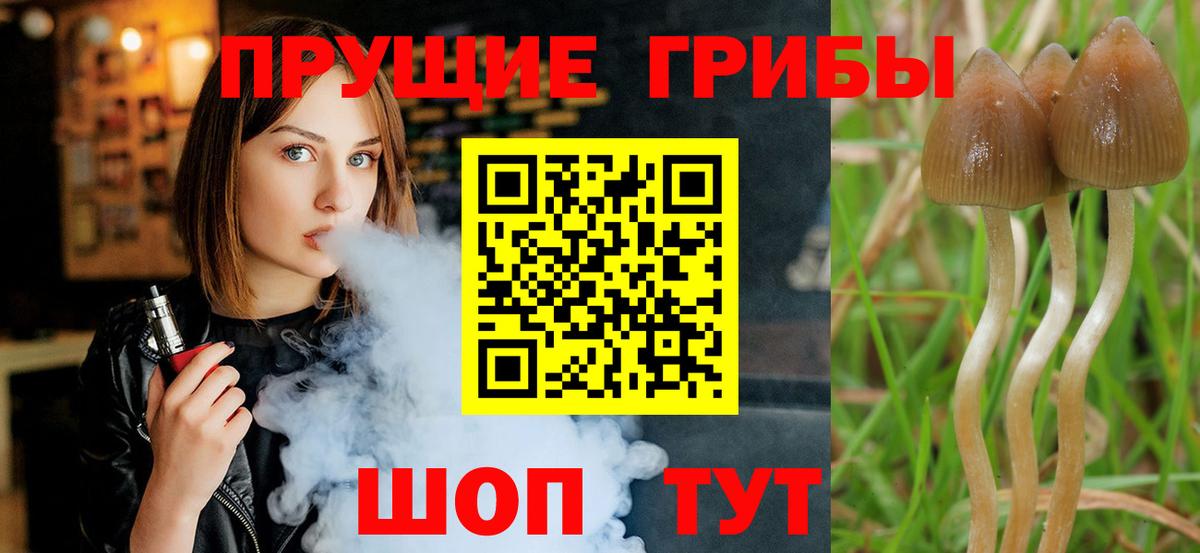 Псилоцибиновые грибы Magic Shrooms Туймазы