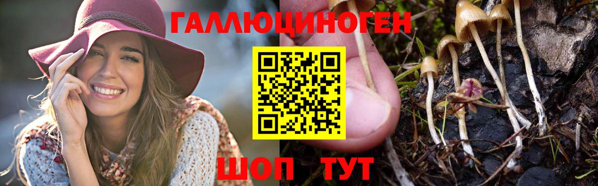 купить   Вход с VPN  Туймазы  Псилоцибиновые грибы Magic Shrooms 
